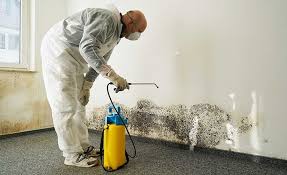 Best Emergency Mold Remediation  in Pasco, WA